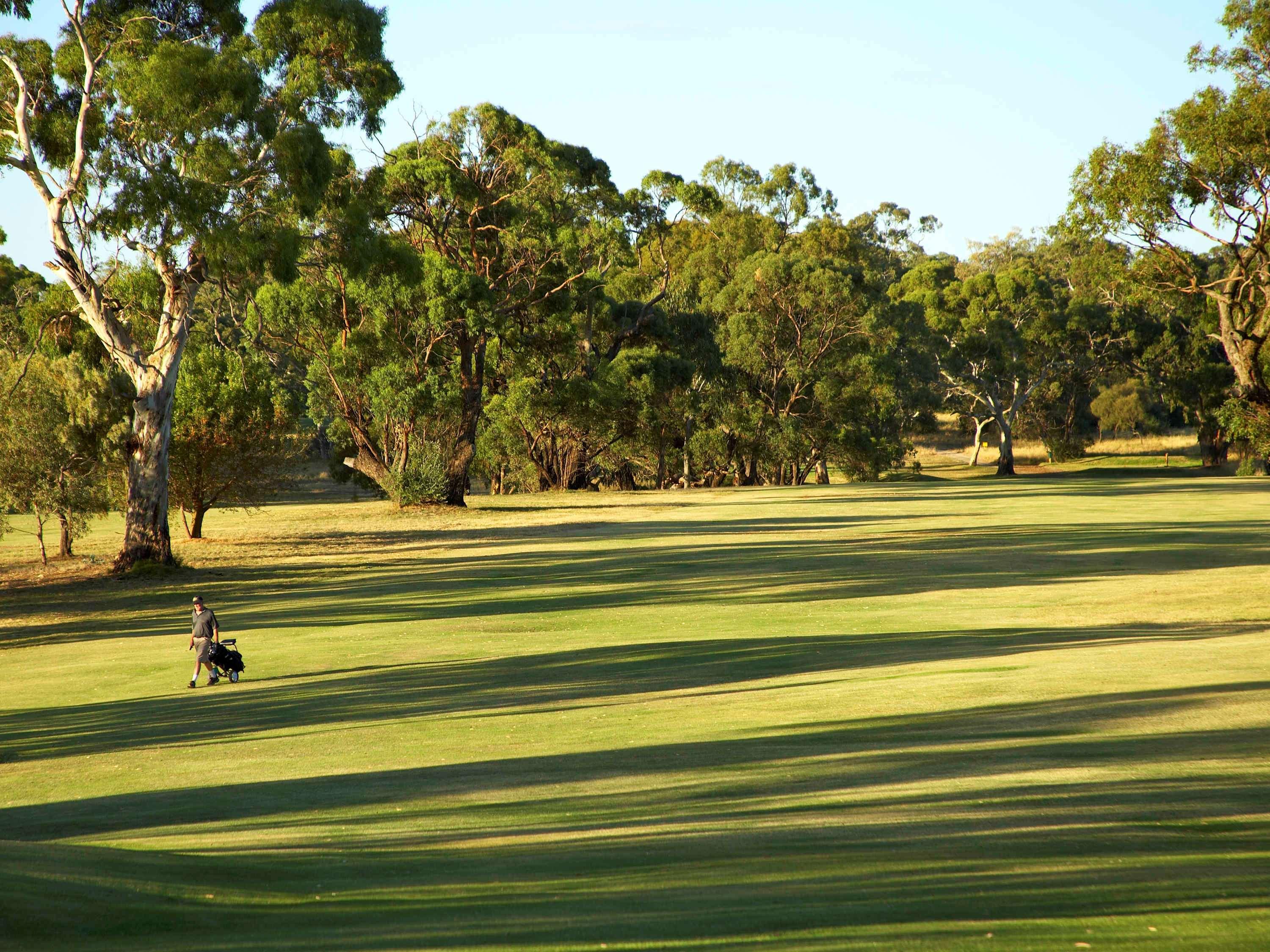 Novotel Barossa Valley Resort Rowland Flat Exterior photo
